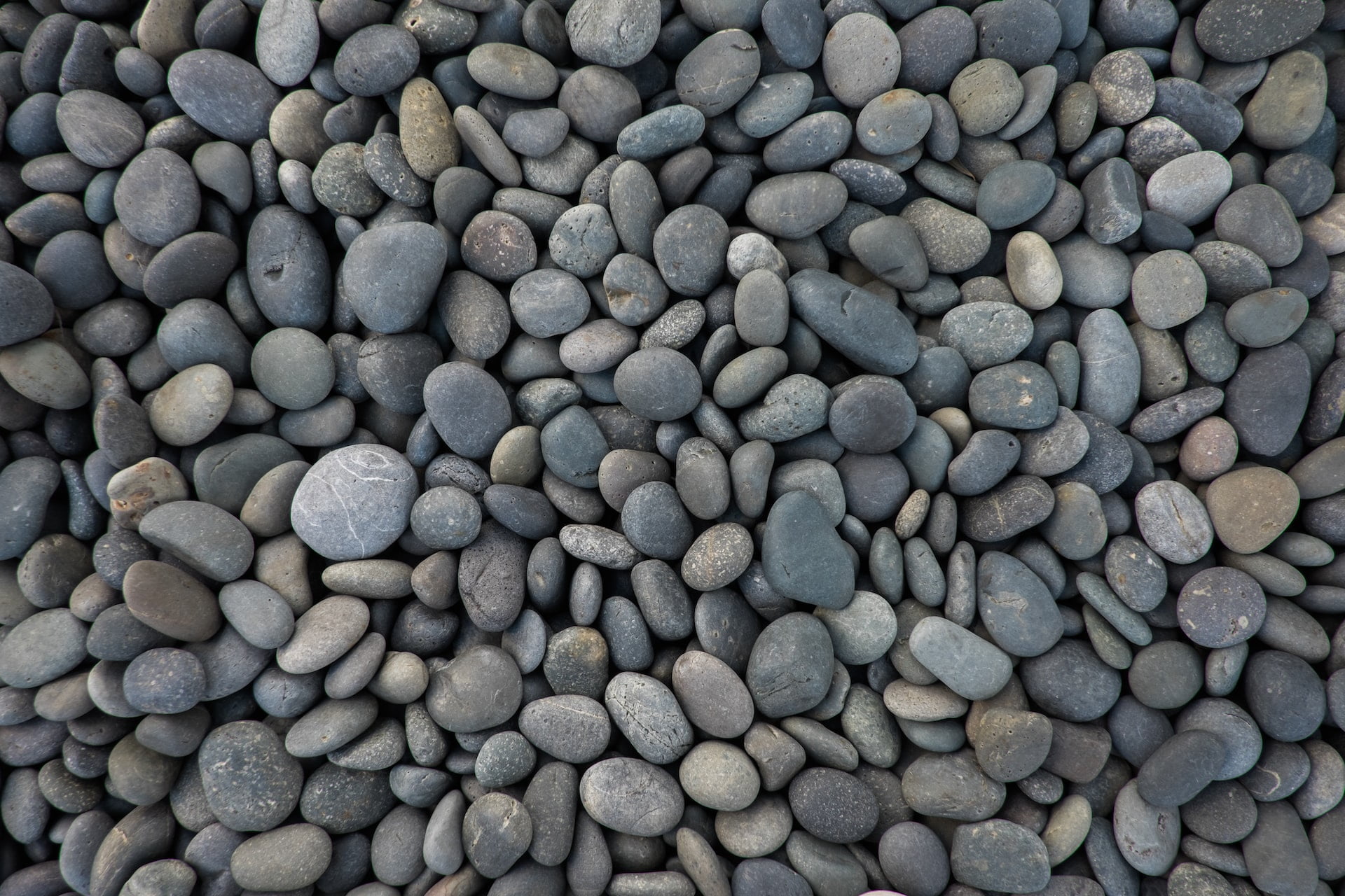 Grove Rocks Gravel & Rock - Garden Oasis Landscaping, Charleston